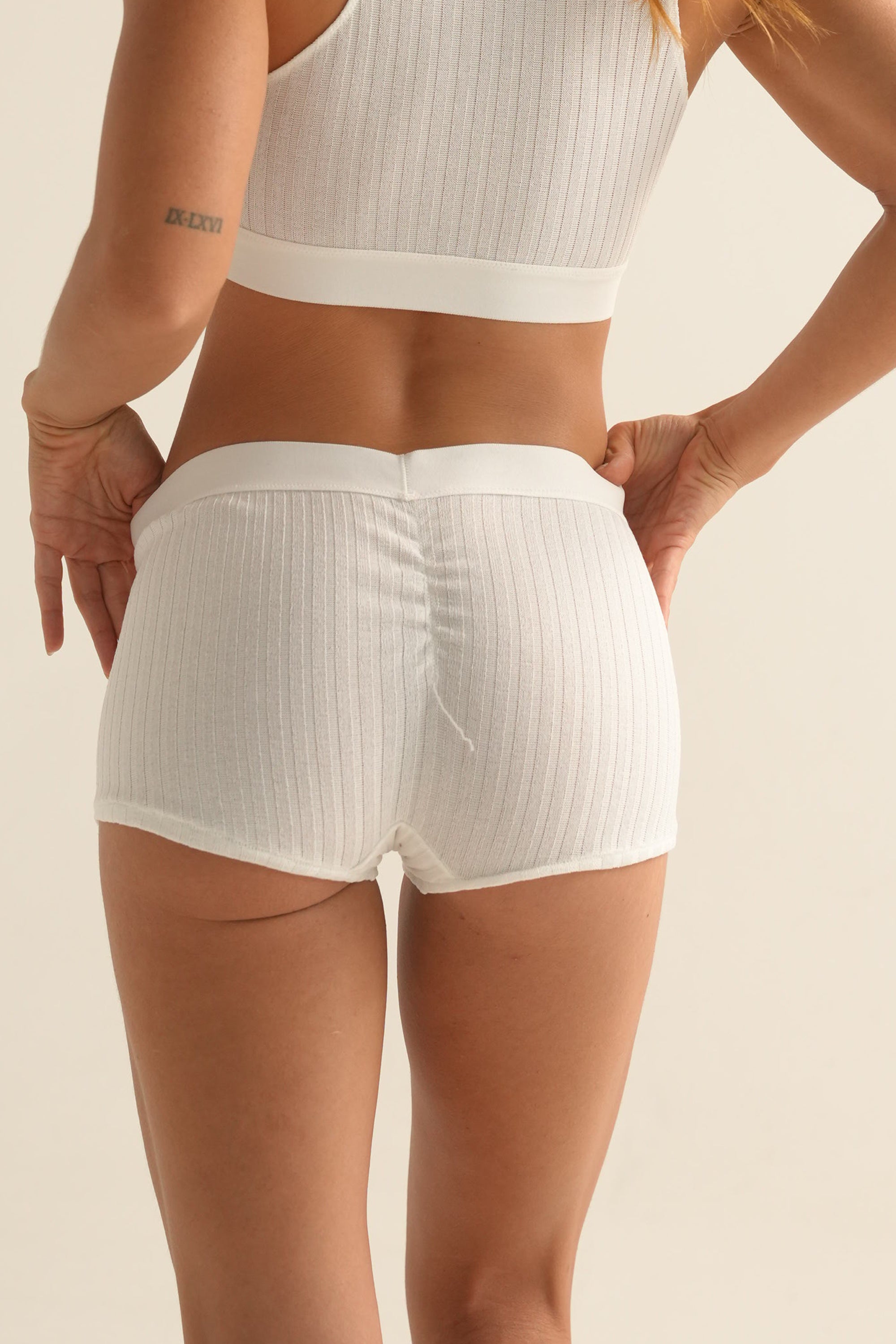 BOXER RIB ELLIPSE NEW CLASSICS