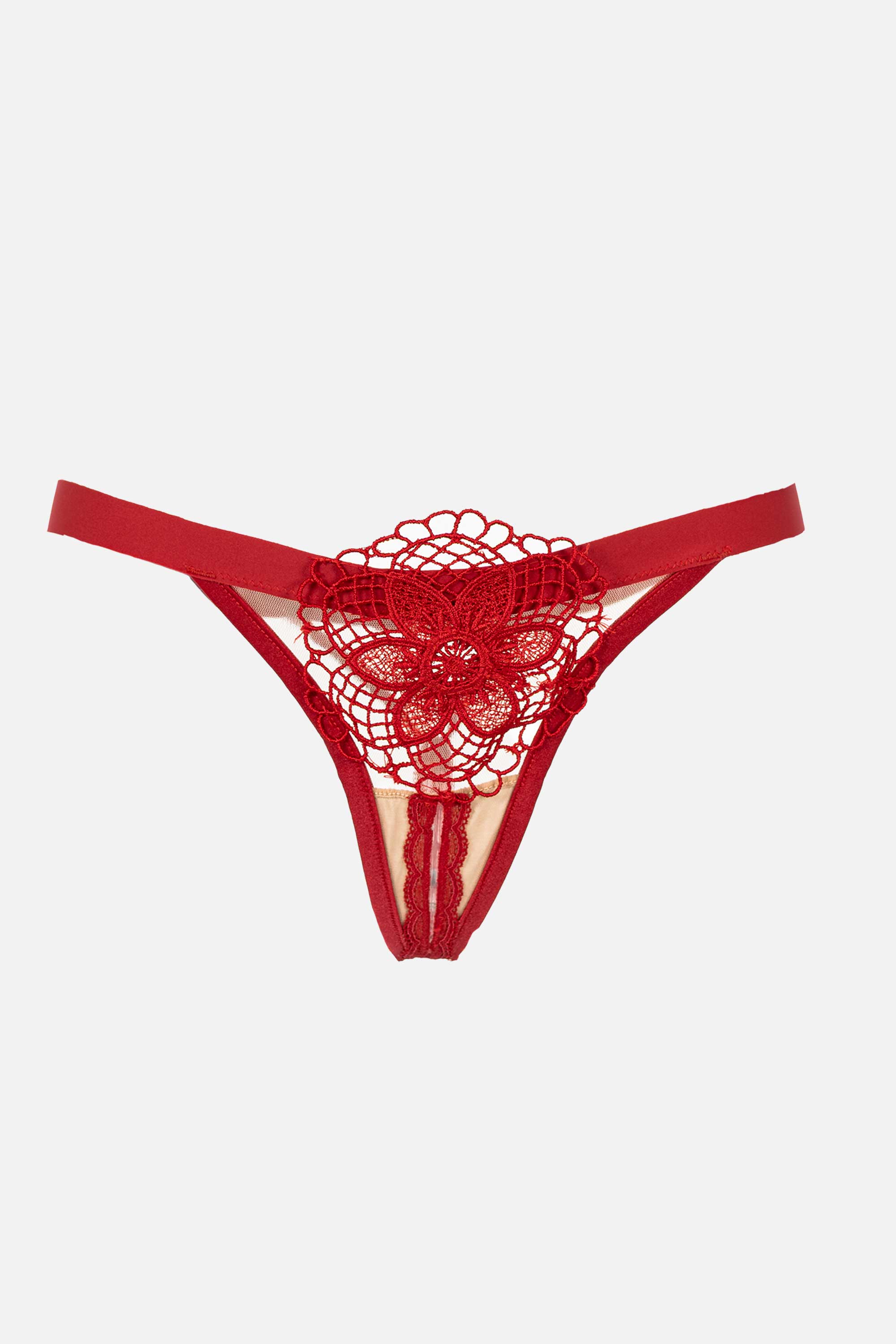 SCARLET ELLIPSE ROJO
